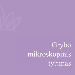 Grybo mikroskopinis tyrimas (070101)