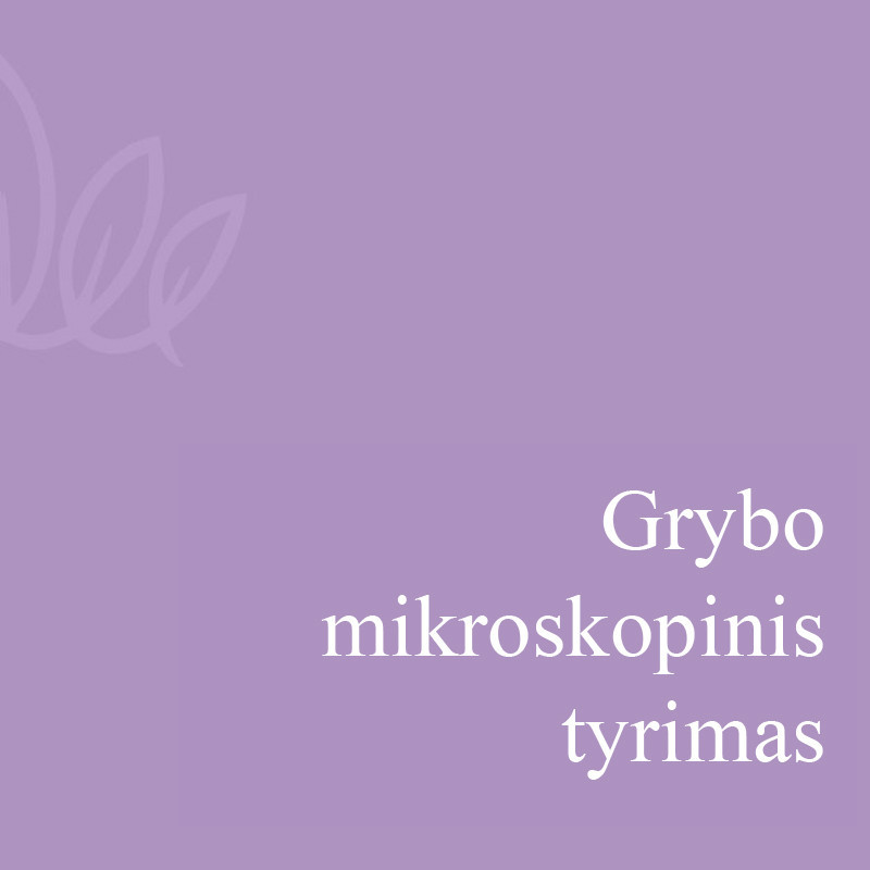 Grybo mikroskopinis tyrimas