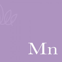 Manganas (Mn) (050010)